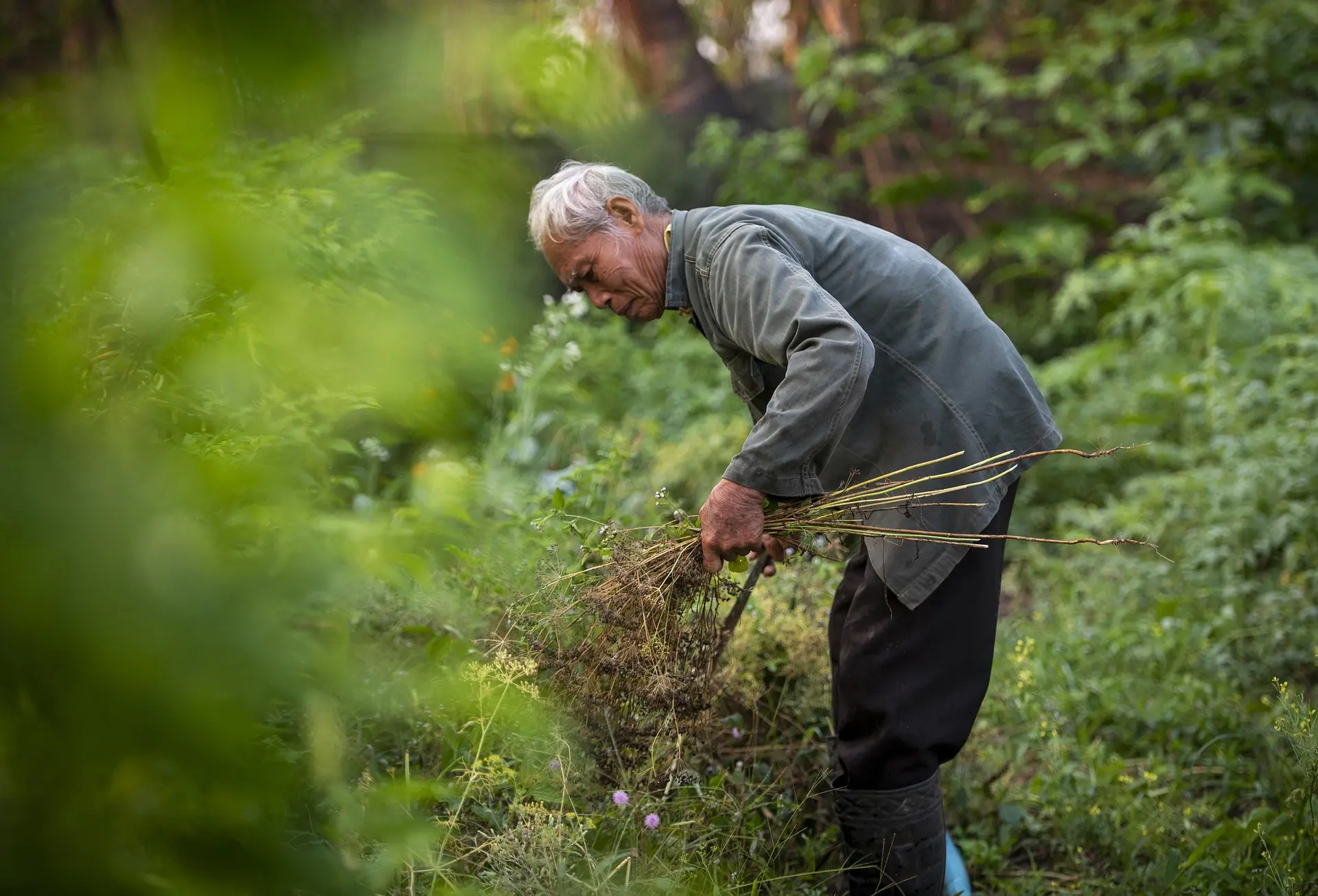 Farmer working in a field, symbolizing our commitment to local communities