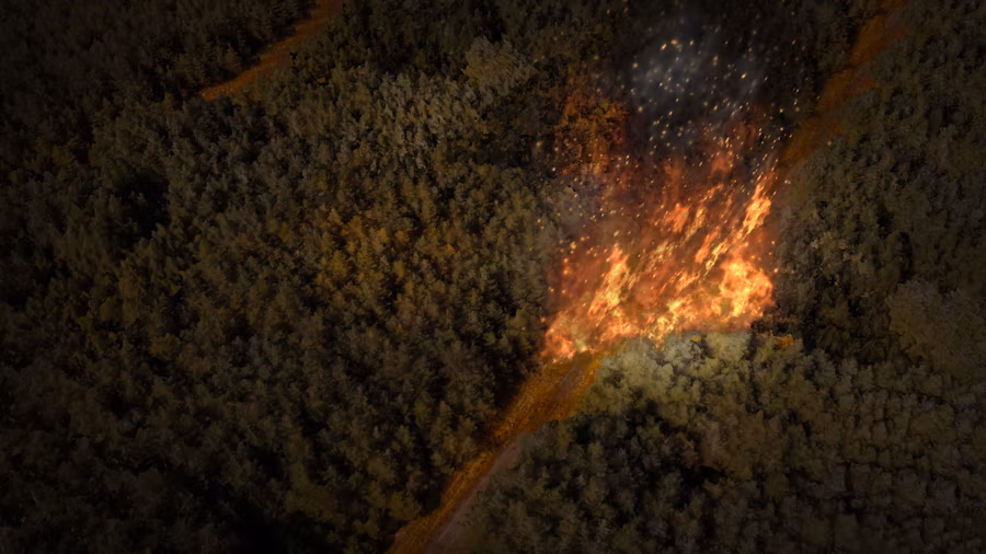 Projet Bushfire Recovery